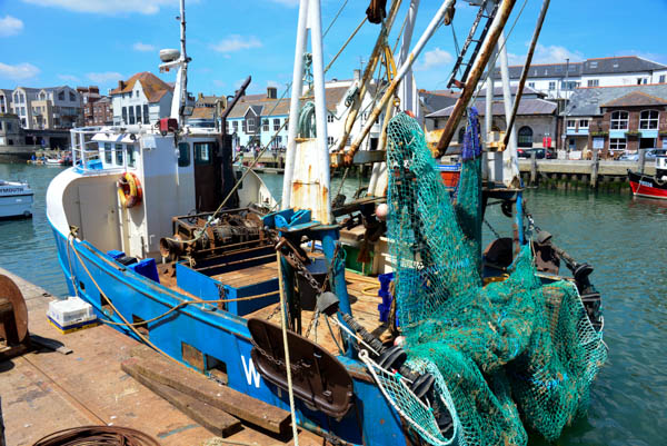 Working fishing boat in Weymouth harbour.
