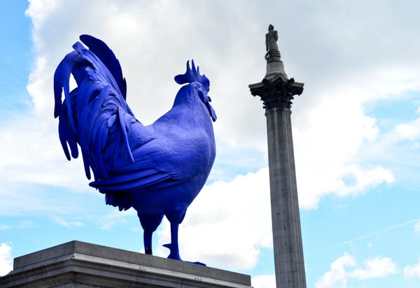 The blue cockerel chats to Nelson in Trafalgar Square.
