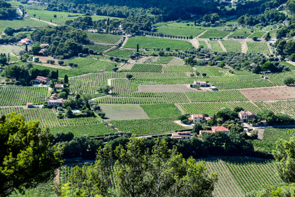Vineyards cover the valley floor below