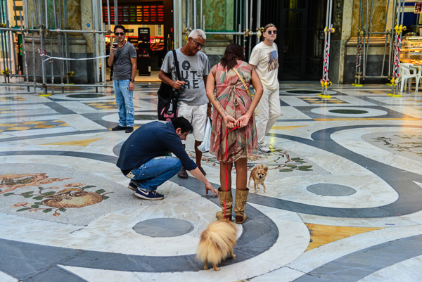 Dogs are often the centre of attention. This marbled floor is a huge astrological calendar.