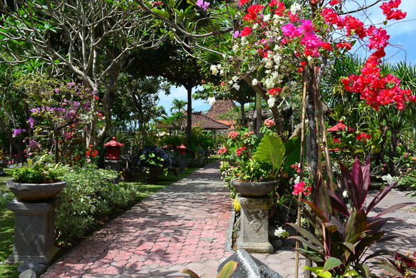 A proper Balinese garden at last!