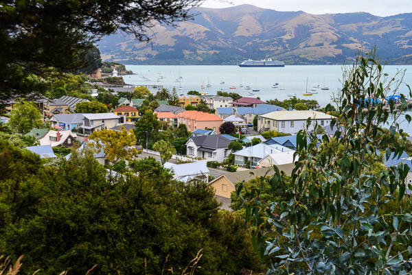 The Noordam shrinks in the spaciousness of Akaroa Harbour.