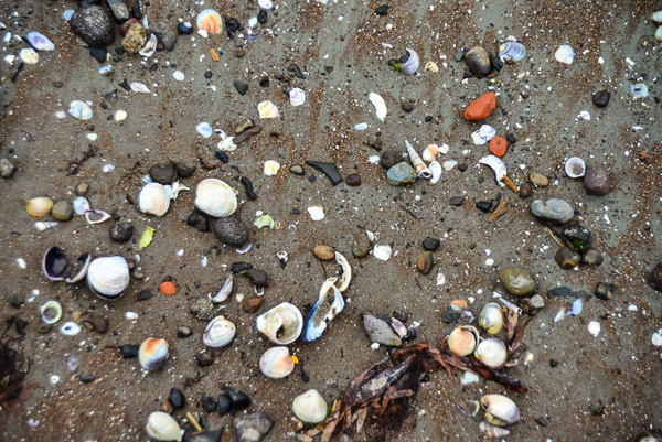 The beach is a child's paradise ... lots of shells to collects.
