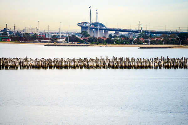 The new and the old ... the curves of the West Gate bridge soar over the old jetty.