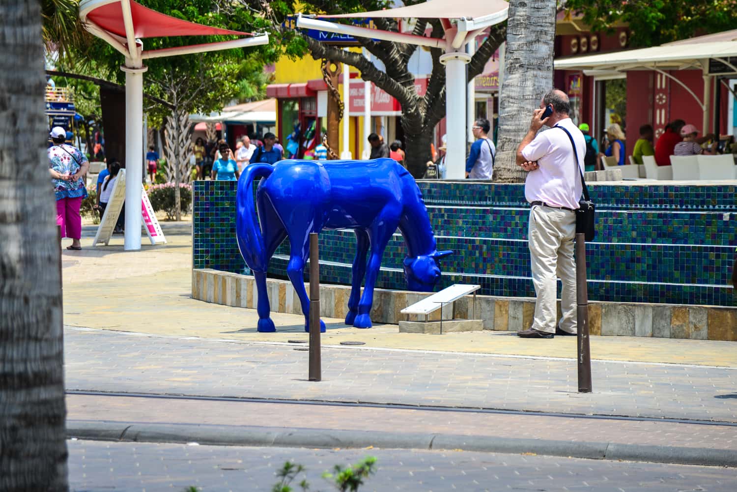 They do seem to have a blue horse thing going here ...