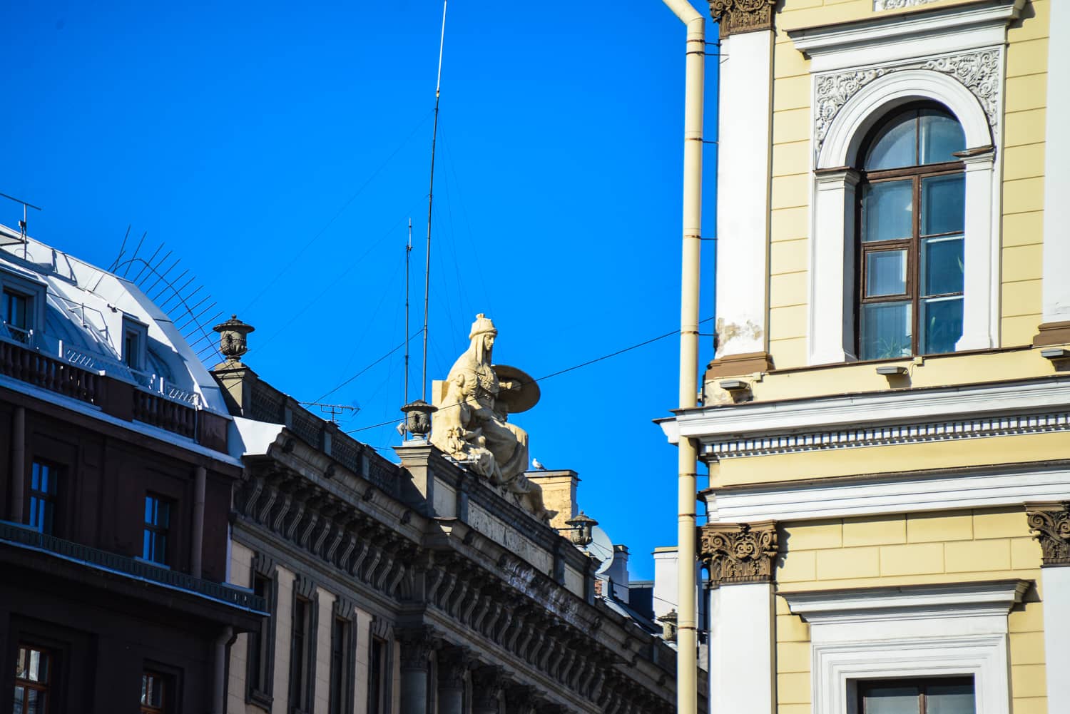 This fellow looks completely out of place sitting in the gutter atop the building