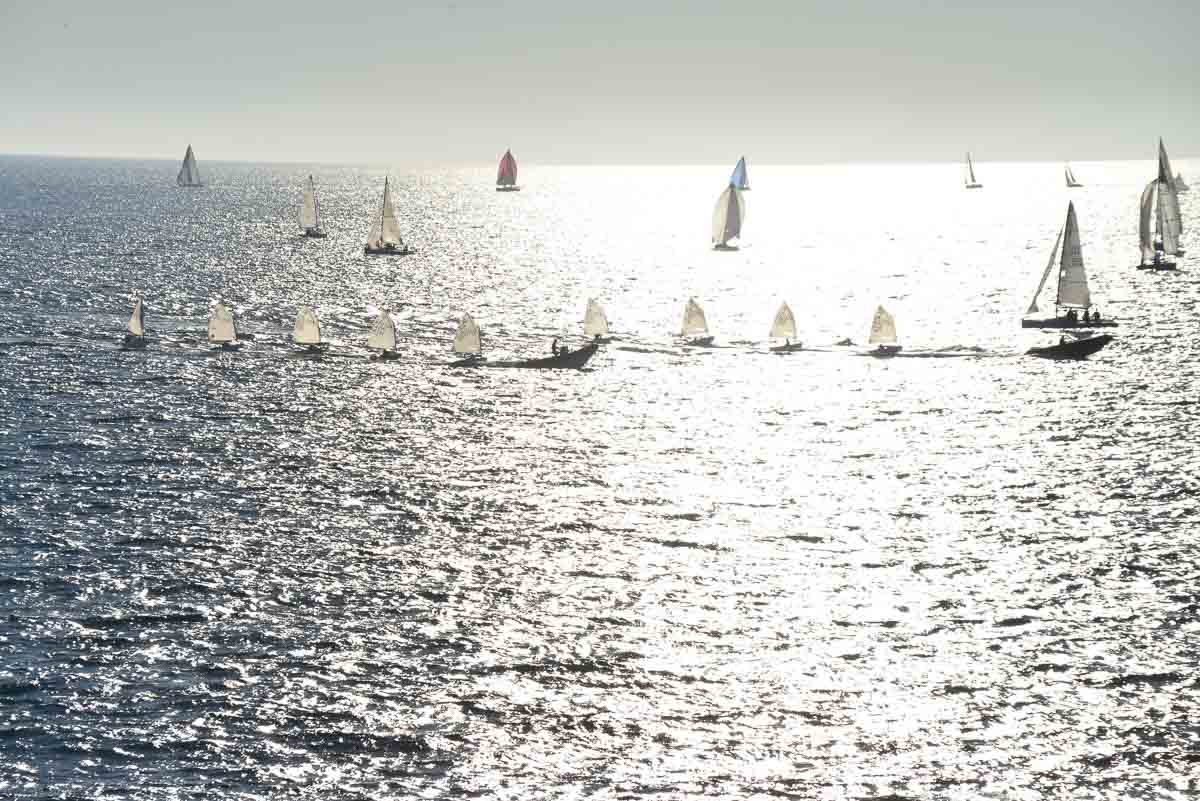 Yatchts sail off Santa Barbara, California