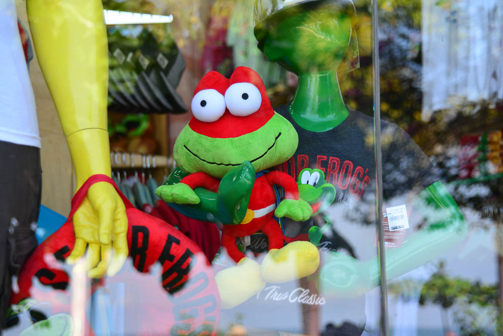 Senor Frog in Vallarta, Mexico