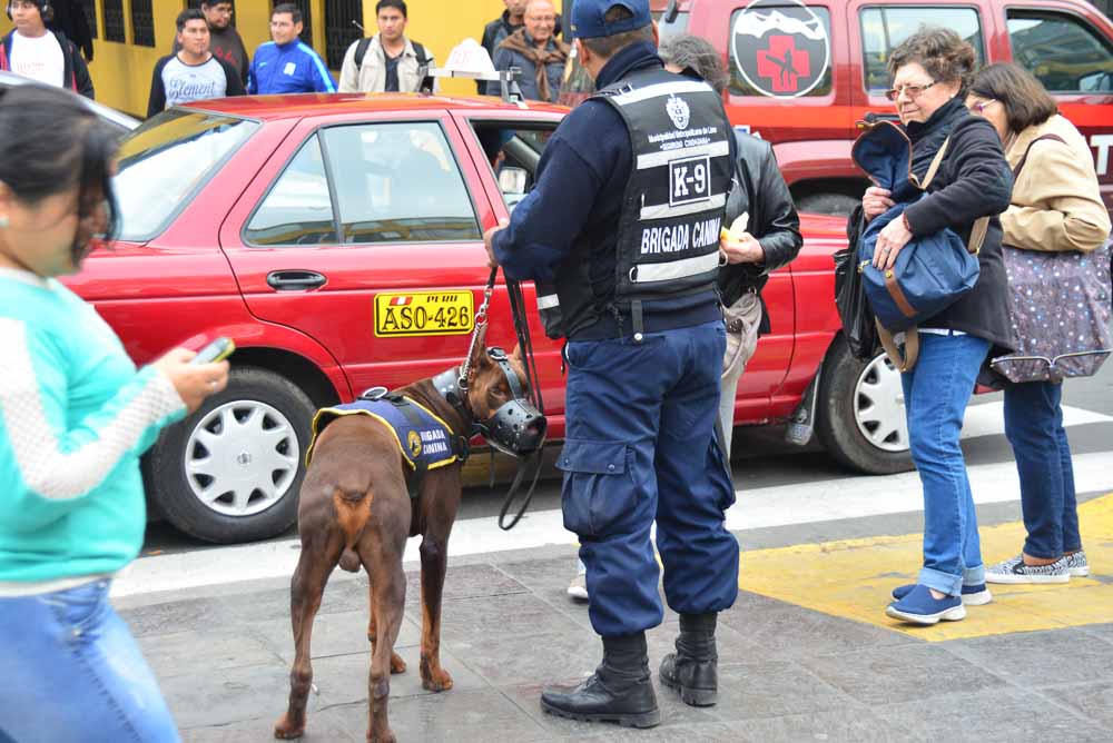 Police dog in Lima Peru