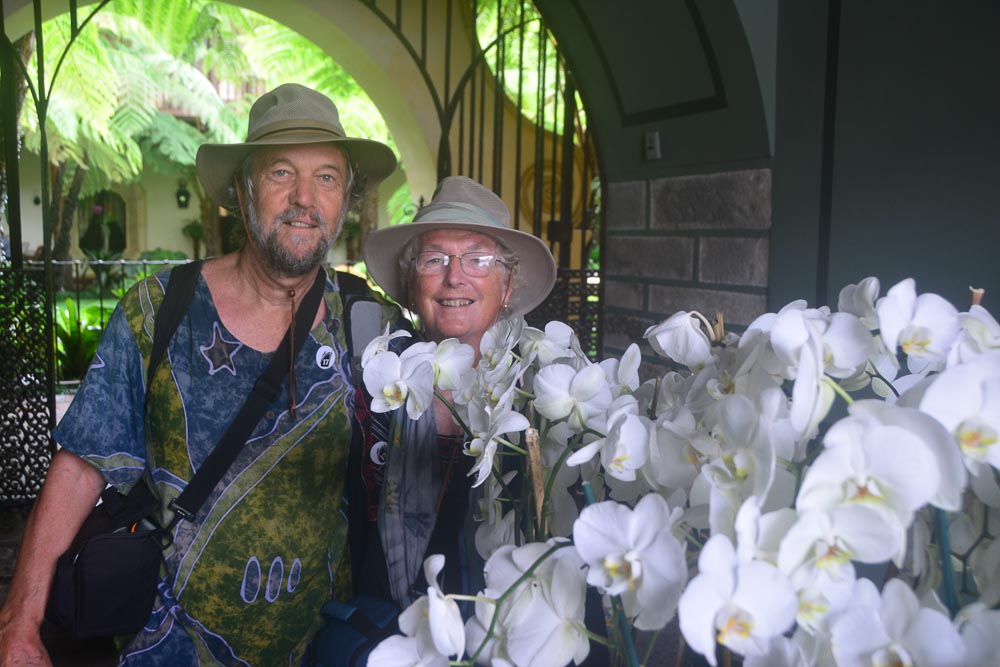Orchids in the city of Antigua, Guatemala