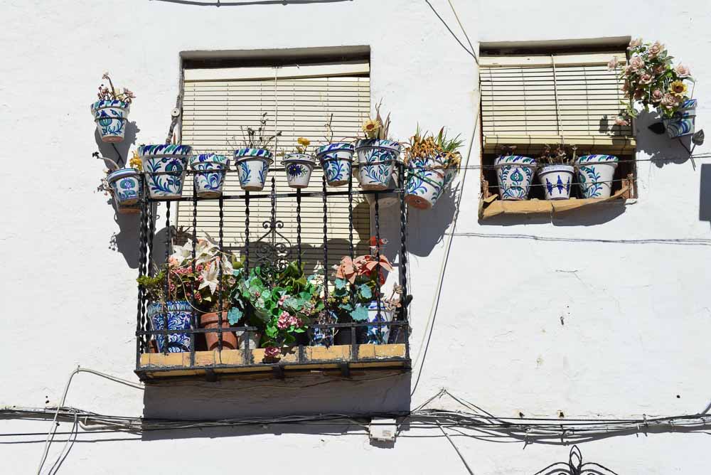 Pots in Granada Spain