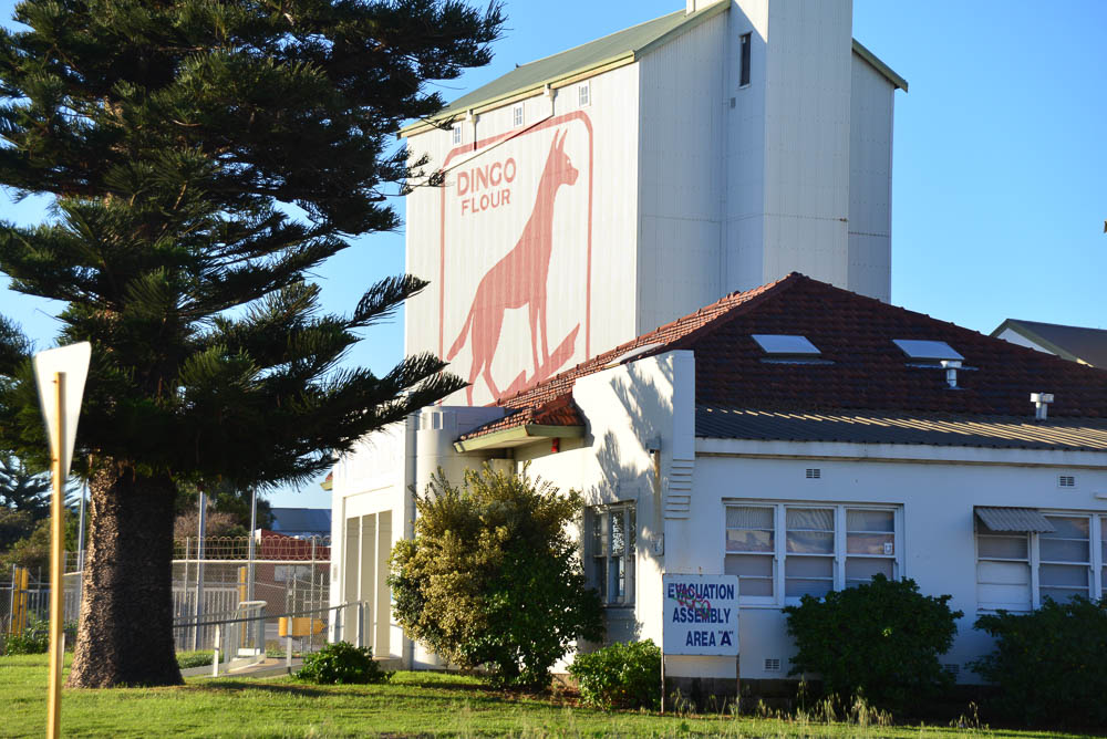 The red dingo painted of the front of the Dingo flour mill