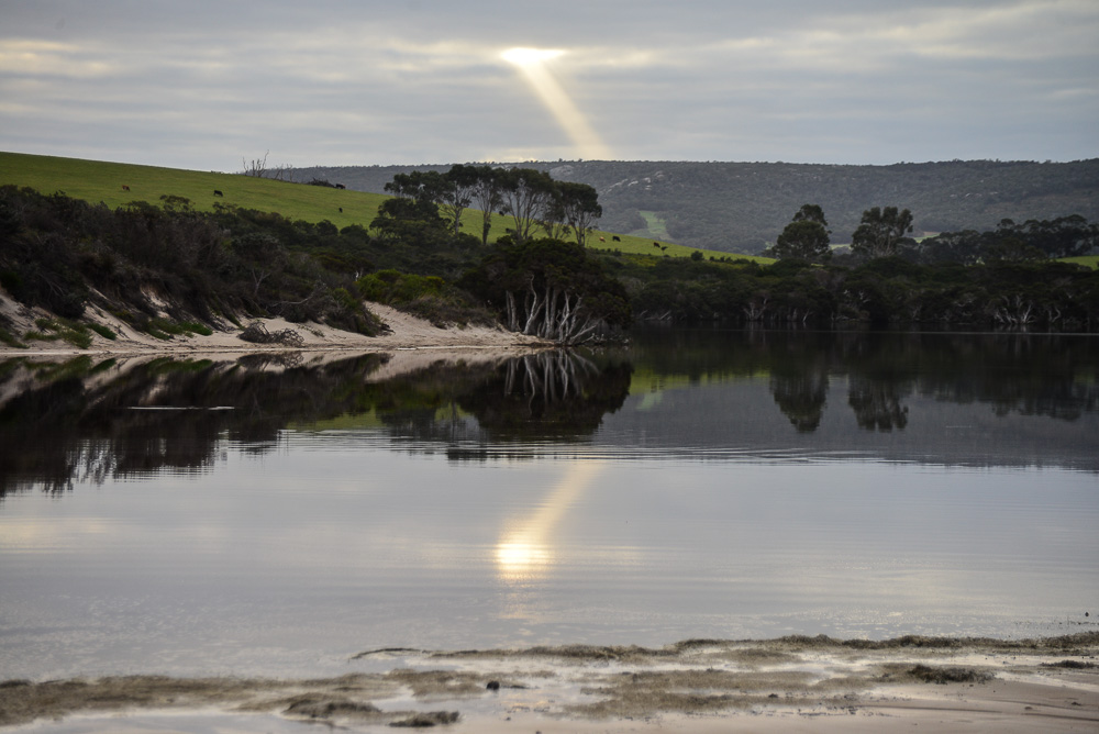 An image of the inlet at Nanarup with reflections of the paperbarks.