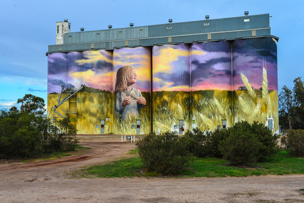 The artwork on the wheat silos of Kimba shows a young girl in a wheat field as the sun sets.