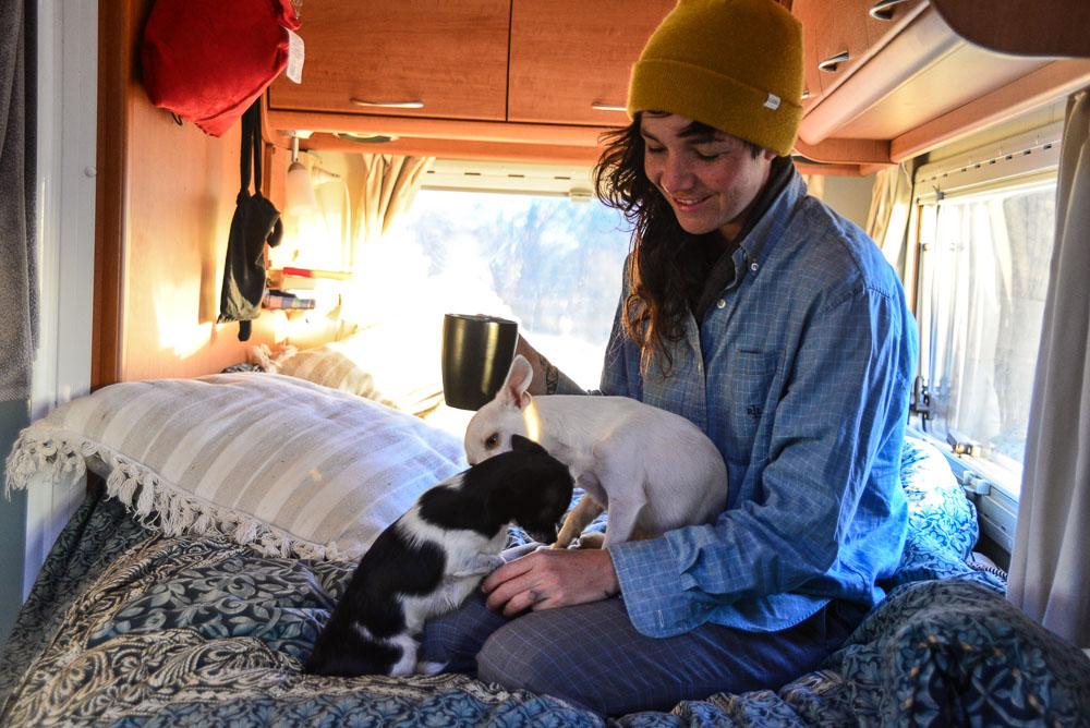 An image of Pippa with her dogs sitting on the bed in Winnie parked on the NT/SA border