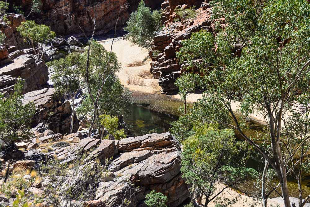 An image of Ormiston Gorge taken from the Ghost GUm walk track