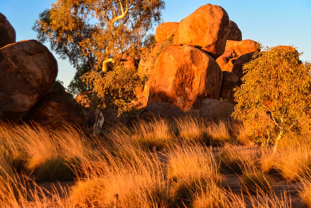 Devils marbles in the early morning light