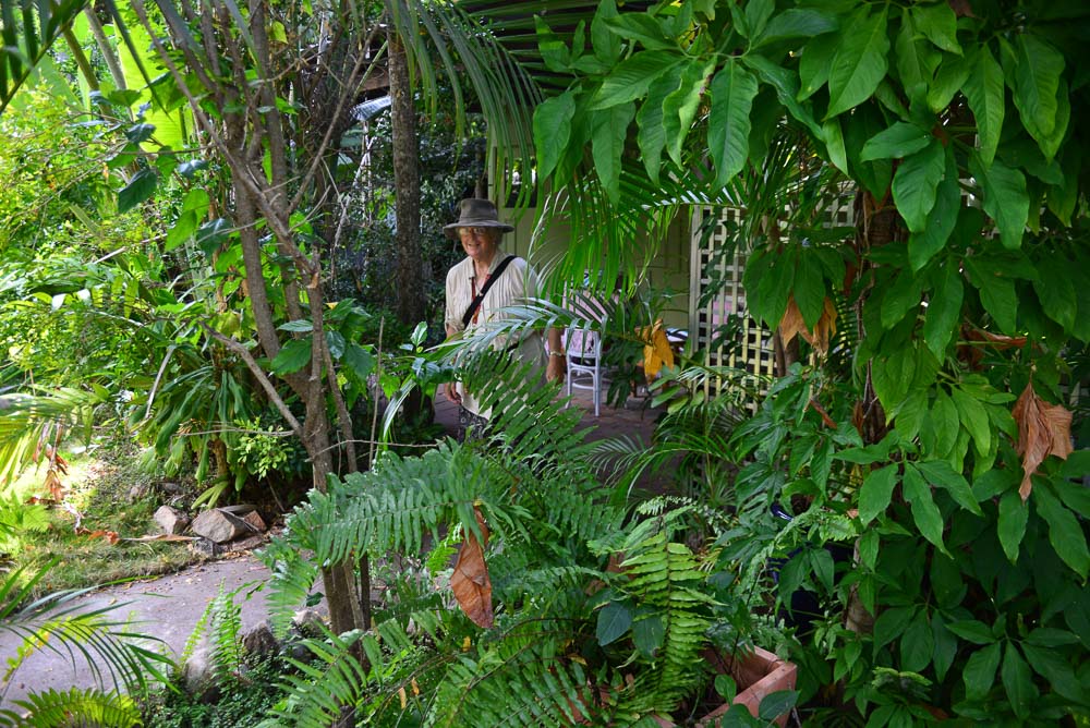 The Airbnb amid the greenery at the end of a garden.