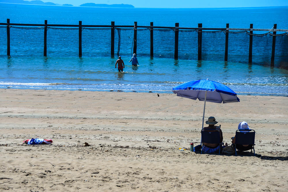 An image of people swimming inside the shark nets on Seaforth Beach Queensland.