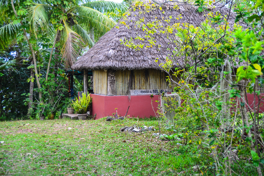 Thatch is still used on some of the houses