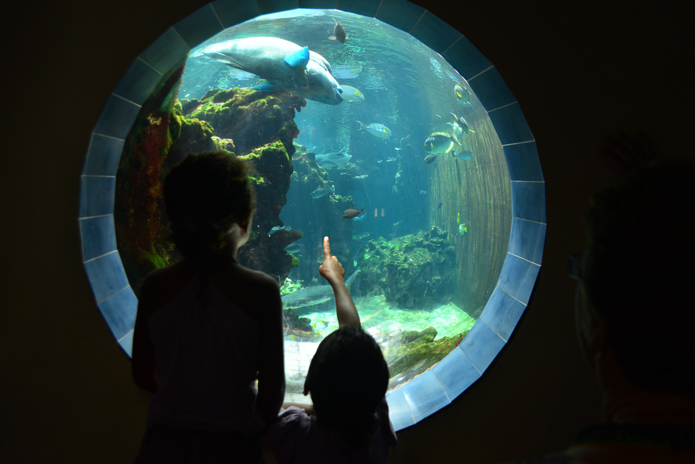 Children just love aquariums