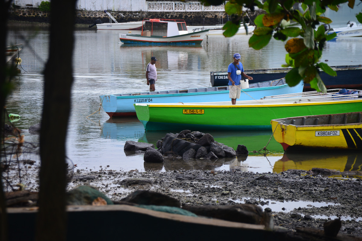 Local fishermen catch bait from their brightly coloured boats.