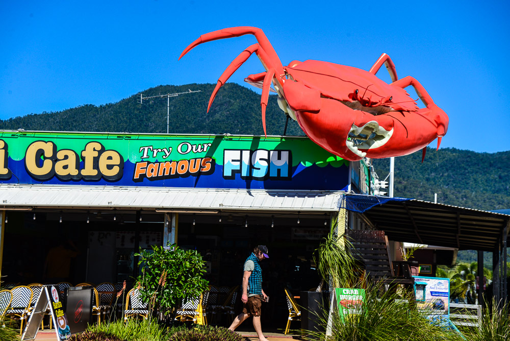 The big crab in Cardwell by the sea.