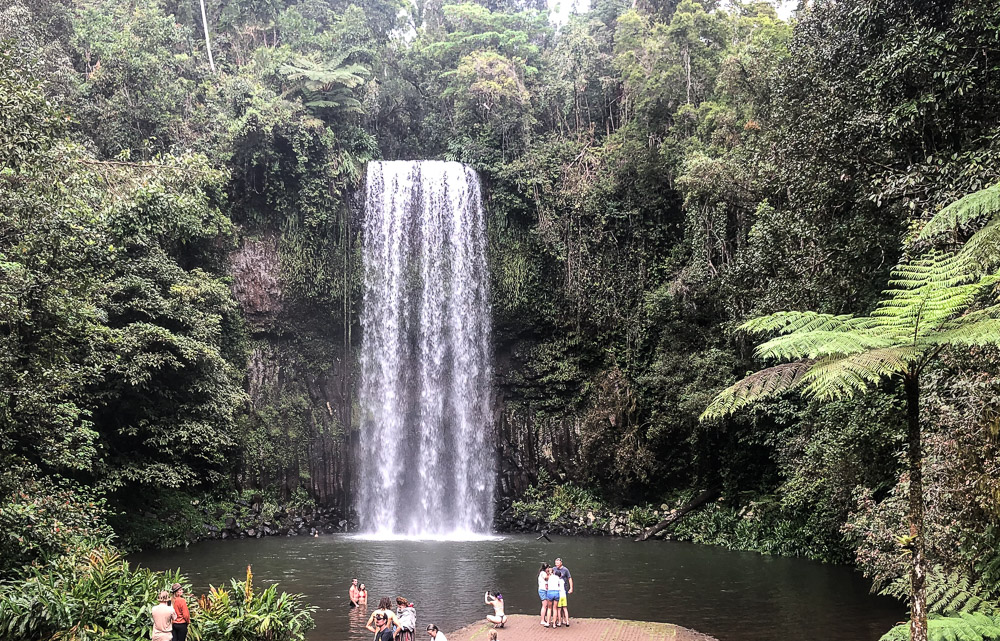 The first stop on the Waterfall Curcuit is the Millaa Millaa fall.