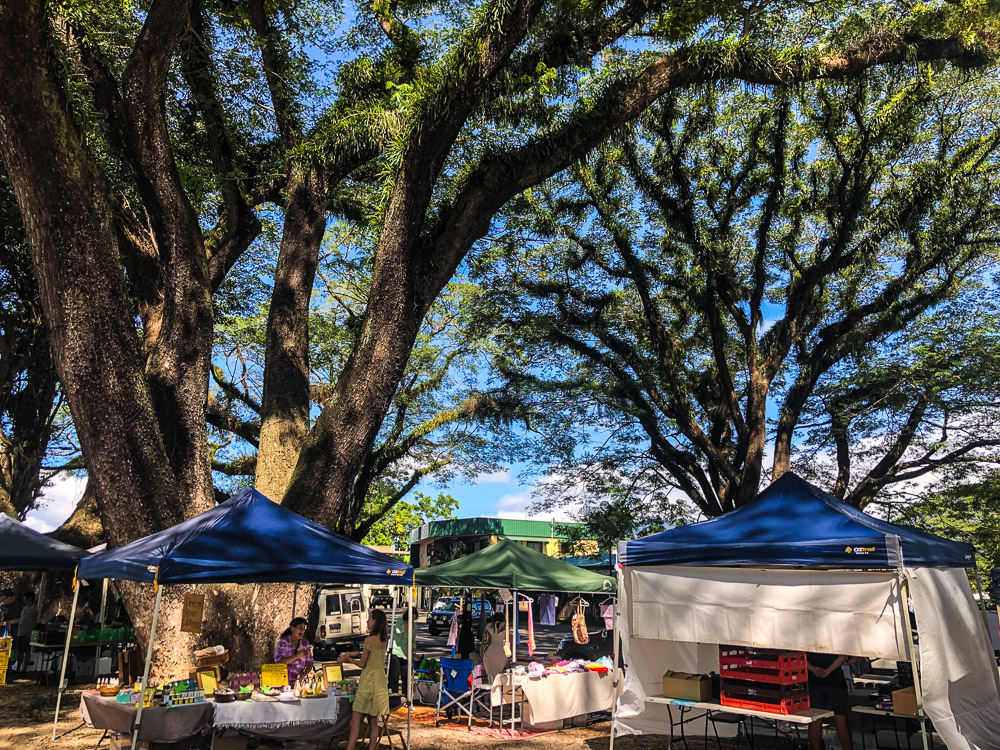 The weekly Mossman market is the place to get local supplies of fruit and veg