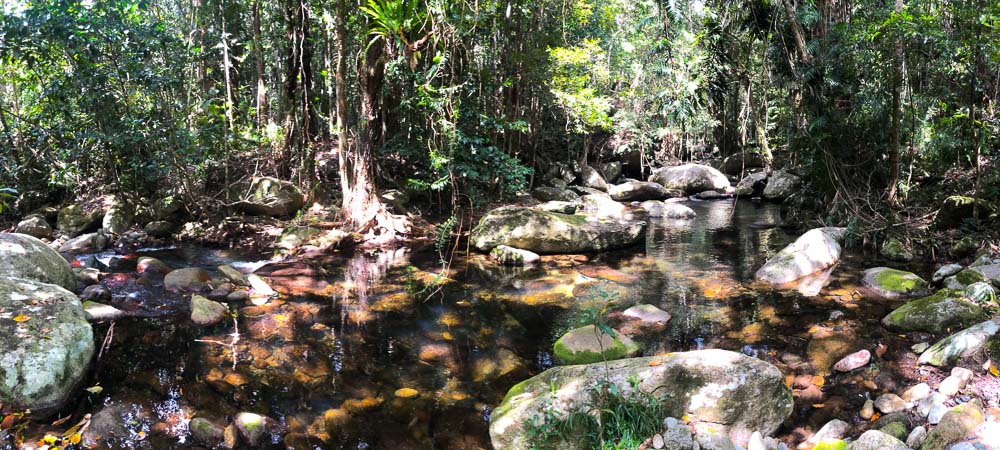 Pools of crystal clear water lie between gentle rapids surrounded by rainforest