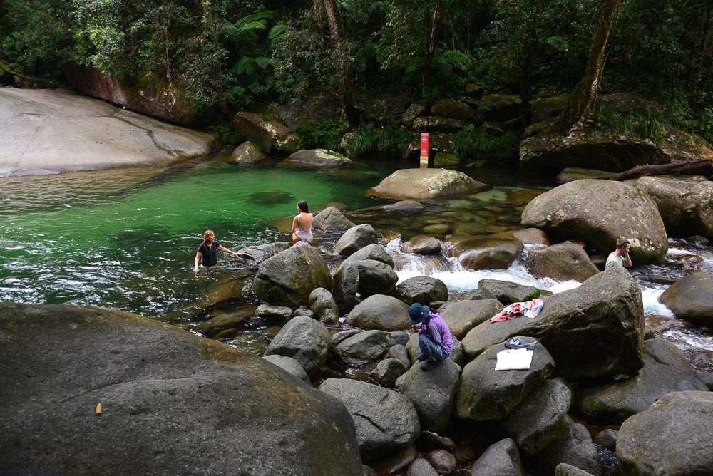 Swimming seems to be the thing in the pools below Josephine Falls