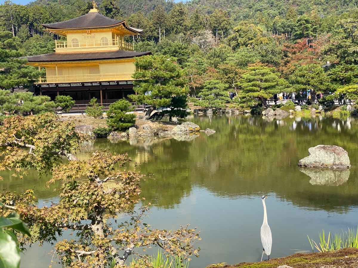 Japan, Kinkakuji Golden Temple