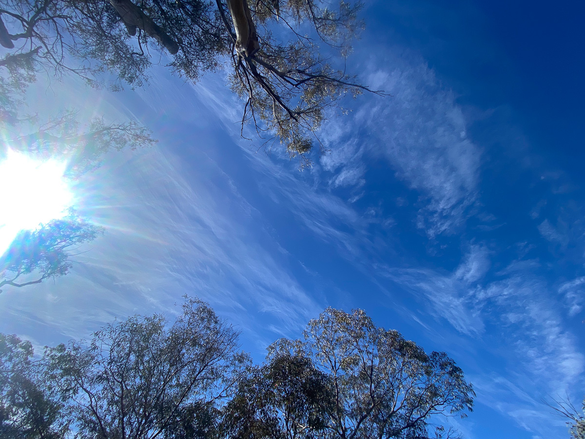 Quorn South Australia