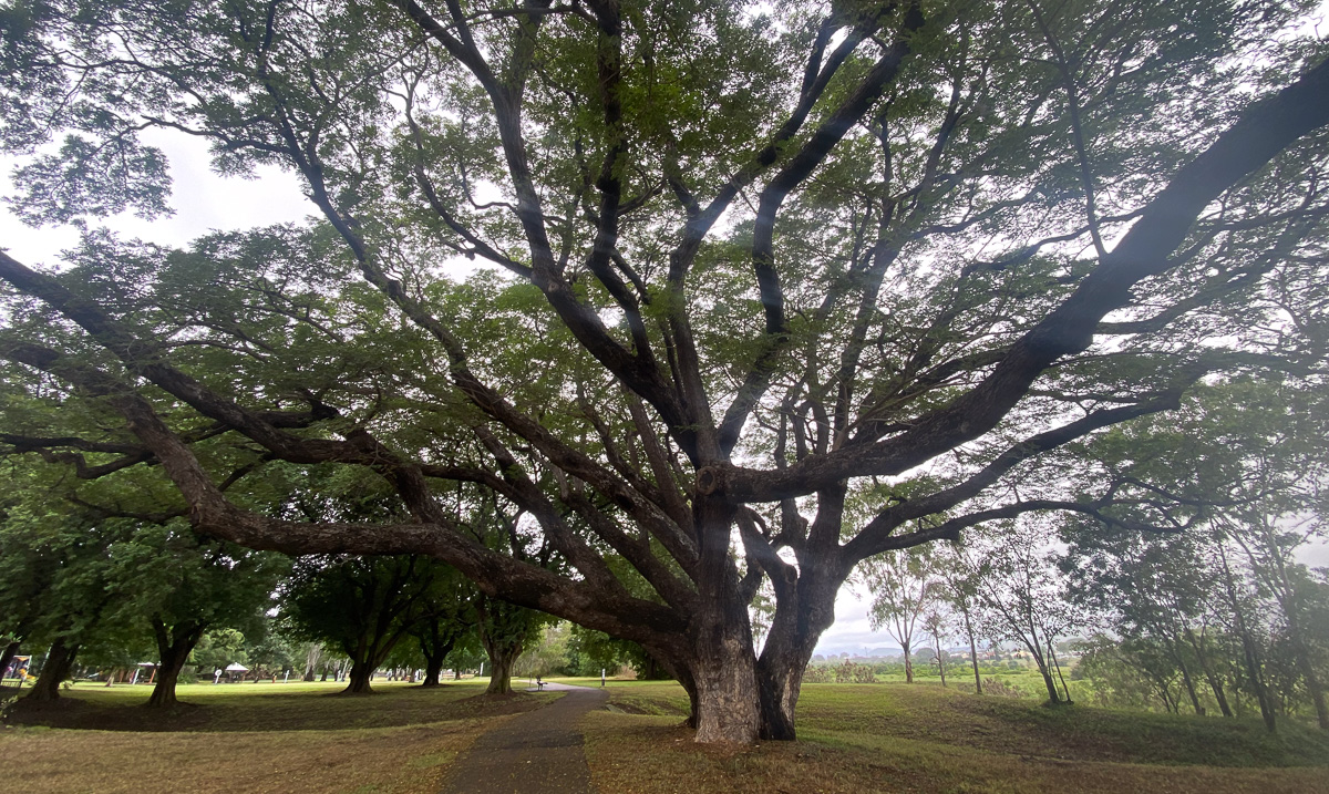 Townsville Queensland