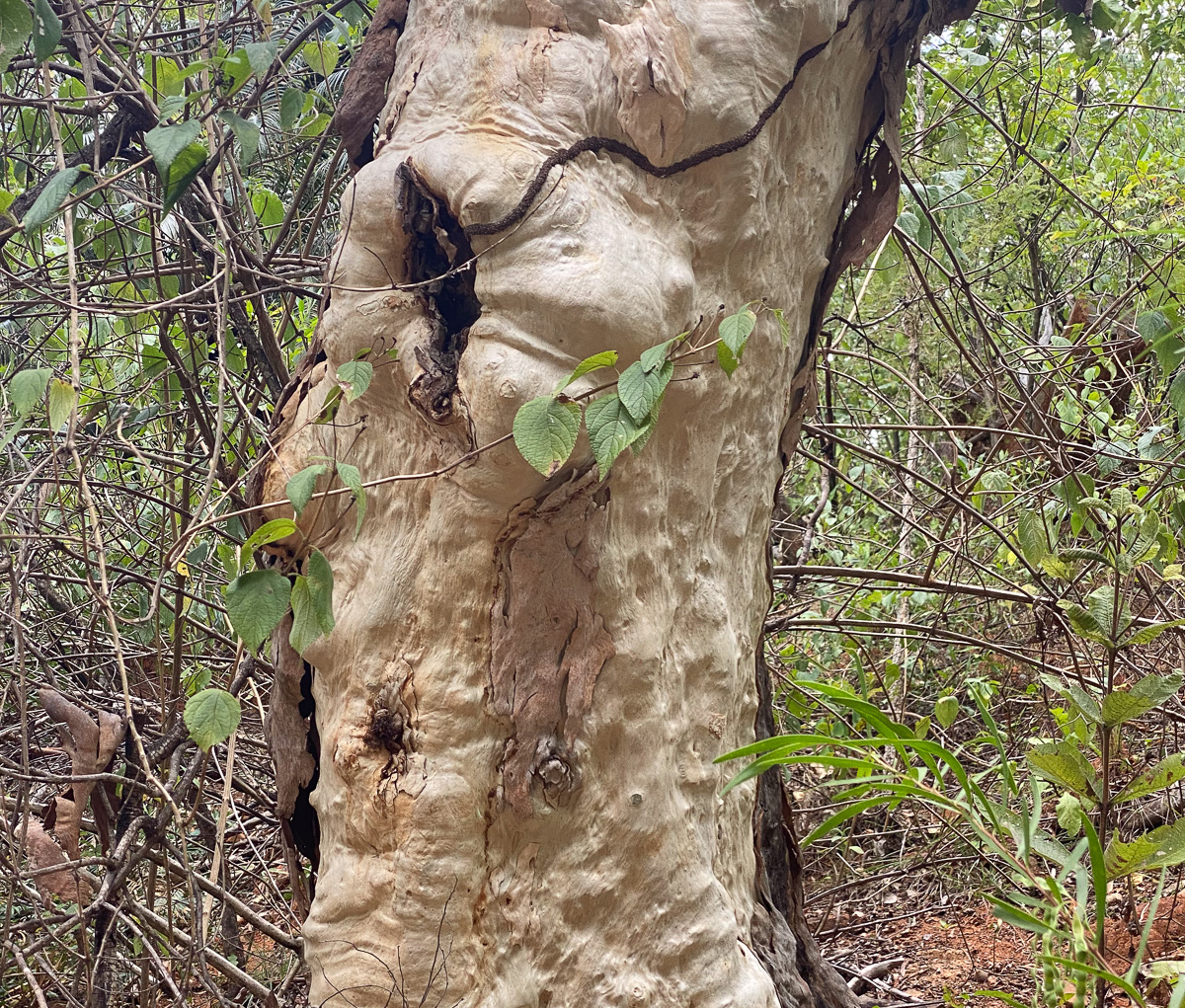 Townsville Queensland